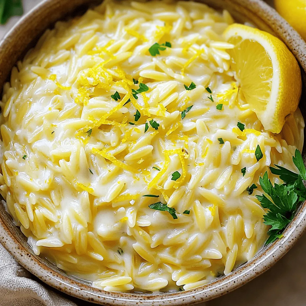 Lemon Parmesan Orzo Quick and Tasty Pasta Dish