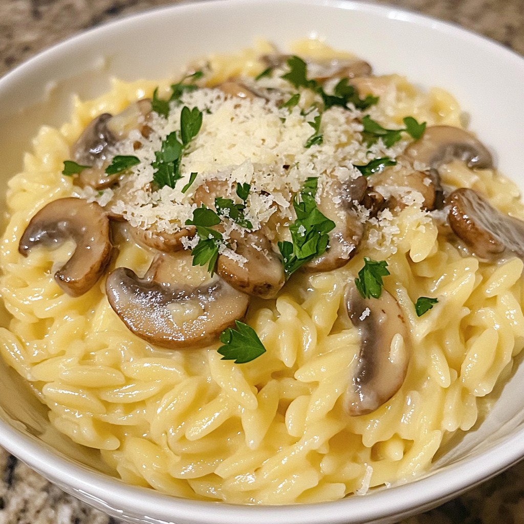 Creamy Mushroom Orzo Savory and Tasty Delight